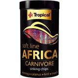 Tropical Husdjur Tropical Soft Line Africa Carnivore