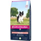 Eukanuba Hundar - Senior Husdjur Eukanuba Senior Small/Medium Breed Lamb & Rice 12kg