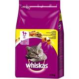 Whiskas Katter - Veterinärfoder Husdjur Whiskas 1+ Chicken 3.8kg