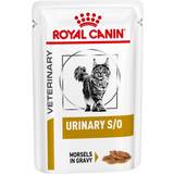 Royal Canin Katter - Kattfoder Husdjur Royal Canin Urinary S/O Morsels in Gravy Cat Food
