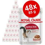 Royal canin sterilised 7 Royal Canin Indoor Sterilised 7+ gelé