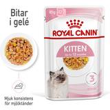 Royal Canin Kitten Jelly 12x85