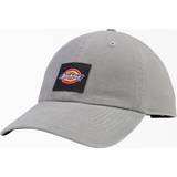 Dickies Washed Canvas Cap - Gray