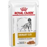 Royal canin urinary s o urinary moderate calorie Royal Canin Veterinary Diets Dog Urinary S/O Moderate Calorie