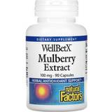 Natural Factors Vitaminer & Kosttillskott Natural Factors WellBetX Mulberry Extract 100 mg 90 Capsules