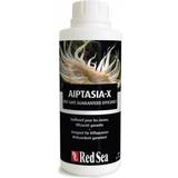 Red Sea Husdjur Red Sea Aiptasia-X refill 500ml