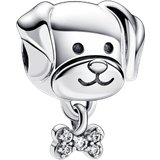 Pandora Pet Dog & Bone Charm - Silver/Transparent