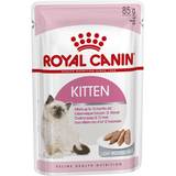 Burkar - Katter Husdjur Royal Canin Kitten Loaf 12x85g
