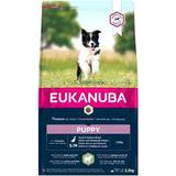 Eukanuba Vitaminer Husdjur Eukanuba Puppy Small & Medium Breed Lamb & Rice 2.5kg