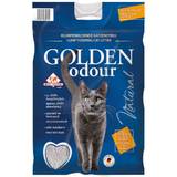 Golden Katter Husdjur Golden Gyllene grå lukt, 14 kg