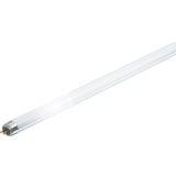 Philips TL5 HE Fluorescent Lamps 14W G5