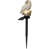 Golvlampor & Markbelysning Star Trading Owl Markbelysning 33cm