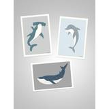 Jotex Posters Jotex WHALES 3-pack 13x18 cm Poster