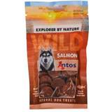 Antos Husdjur Antos WILD Salmon 80 gr