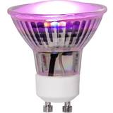 GU10 LED-lampor Star Trading 357-38 LED Lamps 3.5W GU10