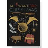 Harry Potter All I Want For Christmas Greetings Card Standard Card