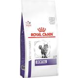 Husdjur Royal Canin Dental Cat 1.5kg