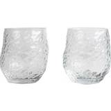 Byon Glas Byon Swan Drinking Glass 42cl 2pcs