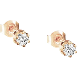 Guld Örhängen Efva Attling Crown & Stars Earrings - Gold/Diamond