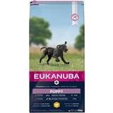 Eukanuba Hundar Husdjur Eukanuba Puppy Large Breed 15kg