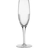 Magnor Champagneglas Magnor Alba Fine Line Champagneglas 25cl