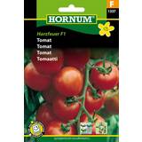 Tomat frö Hornum Tomat 'Harzfeuer' F1 frö