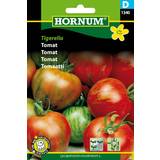 Hornum Tomat 'Tigerella', frö