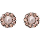 Lily and Rose Pärlörhängen Lily and Rose Petite Miss Sofia Earrings - Silver/Rose Gold/Pearl