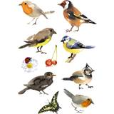 Kreativitet & Pyssel Herma stickers Decor fåglar (3)