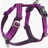 Dog Copenhagen Comfort Walk Air™ Sele XL Purple Passion