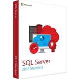 Sql server standard Microsoft SQL Server 2016 Standard Core licens 2 kerner