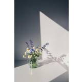 Gråa - Papper Inredningsdetaljer Venture Home Poster - Flowers - White Poster