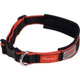 Weatherbeeta Hundhalsband & Selar Husdjur Weatherbeeta M, Black/Red Therapy-Tec Dog Collar
