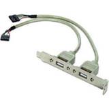 Kablar Gembird Ccusbreceptacle Cable Adapter/Adapter 10-Pin 2 2.0