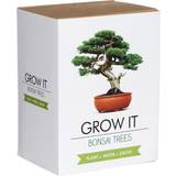 Krukor, Plantor & Odling Gift Republic Grow It Bonsai Trees