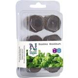 Odlingsset Nelson Garden Plug with Basil Seed 6-pack
