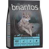 Briantos Veterinärfoder Husdjur briantos Adult Salmon & Potato Grain Free 4x1kg