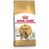 Royal Canin Hundfoder - Katter Husdjur Royal Canin Bengal Ekonomipack: 2