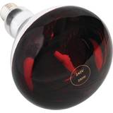 250W Heat Lamp Bulb Red ES