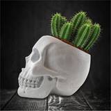 Gift Republic Skull Planter and Cactus