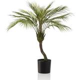 Lökplanterare Emerald Chamaedorea Palm 85