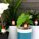 Gift Republic Naughty Gnomes - Mini Plant Pot