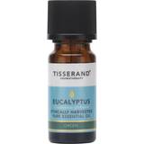 Tisserand Massage- & Avslappningsprodukter Tisserand Aromaterapi Eukalyptus etiskt skördad eterisk olja 100% ren eterisk olja 9 ml