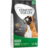 Concept for Life Boxer Adult - 6