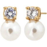Edblad Pärlörhängen Edblad Luna Studs S Earrings - Gold/Pearls/Transparent