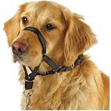 Kerbl Hundar - Hundhalsband & Selar Husdjur Kerbl Antitræksele snudeomfang max 32