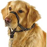 Kerbl Hundar - Hundhalsband & Selar Husdjur Kerbl Maxi Coach Dog Harness, Black