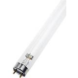 Uv lampa 36w LEDVANCE Osram bakteriedödande lysrör UV-C T8 36W 1200mm 4058075502666