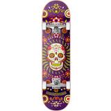 Lila Kompletta skateboards Hydroponic Mexican Complete Skateboard Purple Skull 8.125"