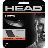 Head Racket Hawk 12 Tennis Single String Grey